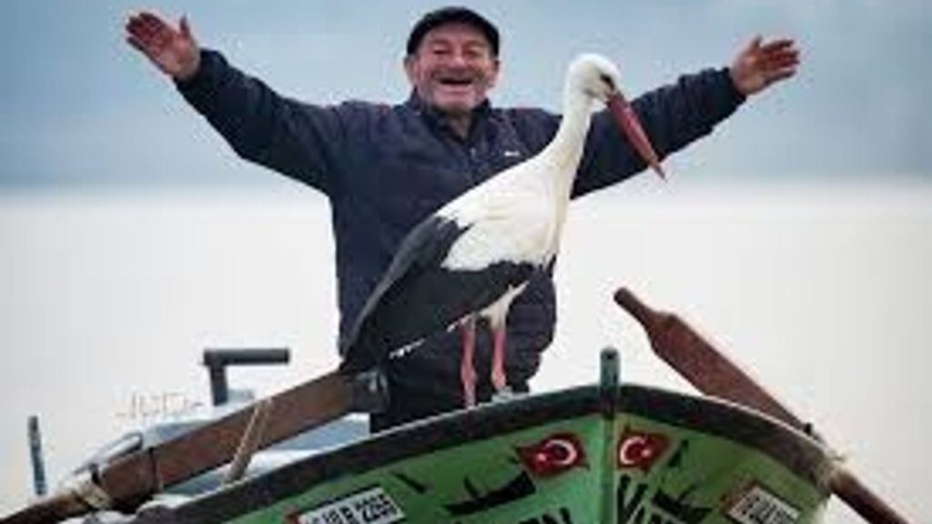 Yaren Leylek’in yavruları göç yolunda – Birlik Haber Ajansı