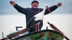 Yaren Leylek’in yavruları göç yolunda – Birlik Haber Ajansı