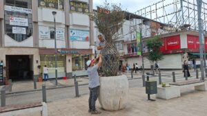Ordu'nun kent estetiğine büyükşehir dokunuşu