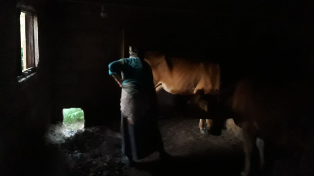 Karadeniz kadınının bitmeyen çilesi – Birlik Haber Ajansı