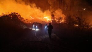 Alanya’da orman yangını: 1 kişi dumandan etkilendi – Birlik Haber Ajansı
