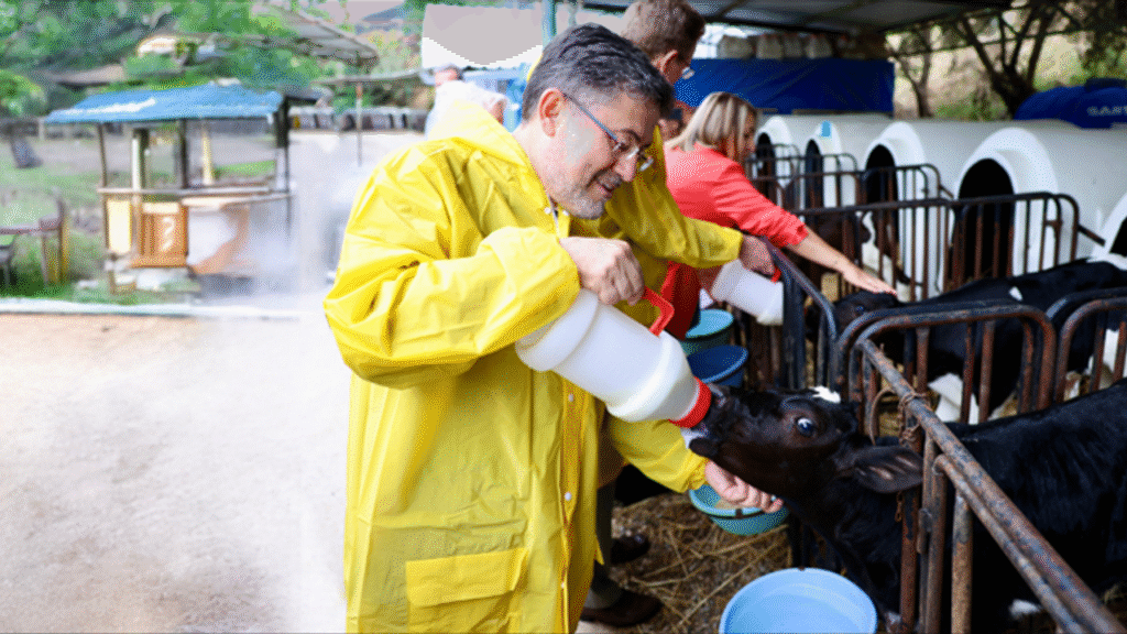 Türkiye’de Büyük ve Küçük Baş Hayvan Sayısı Açıklandı – Birlik Haber Ajansı