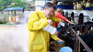Türkiye’de Büyük ve Küçük Baş Hayvan Sayısı Açıklandı – Birlik Haber Ajansı