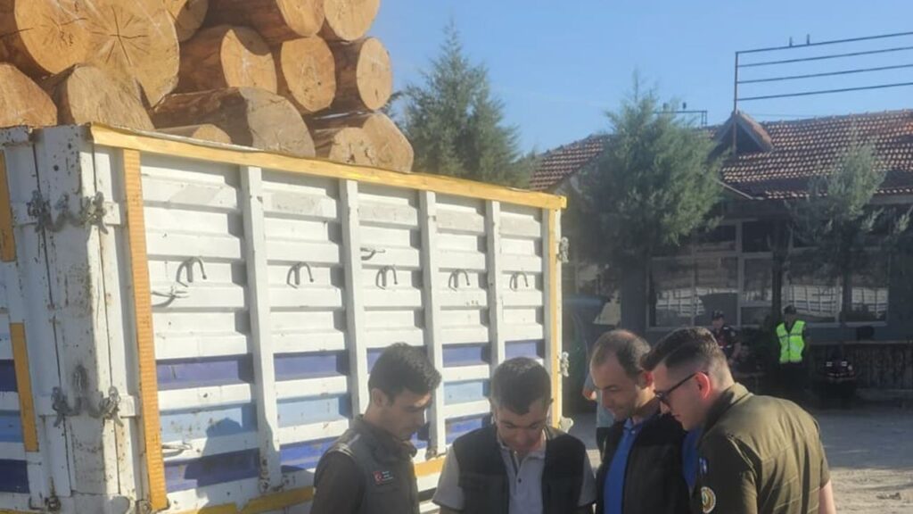 Beypazarı Orman İşletme Müdürlüğü’nden tomruk taşımacılığına mobil denetim – Birlik Haber Ajansı