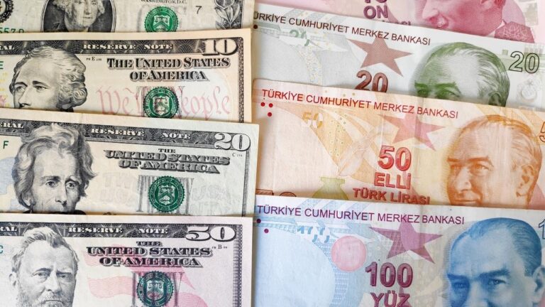 Firmaların net döviz açığında temmuzda düşüş – Birlik Haber Ajansı