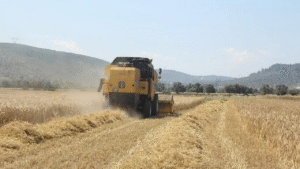 Tarım ve Orman Bakanlığı yeni destekleme modelini açıkladı – Birlik Haber Ajansı