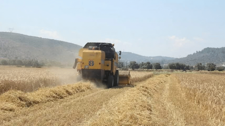 Tarım ve Orman Bakanlığı yeni destekleme modelini açıkladı – Birlik Haber Ajansı