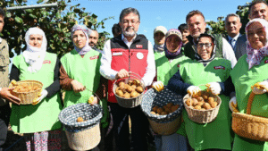 Bakan Yumaklı Kivi Hasadına Katıldı – Birlik Haber Ajansı