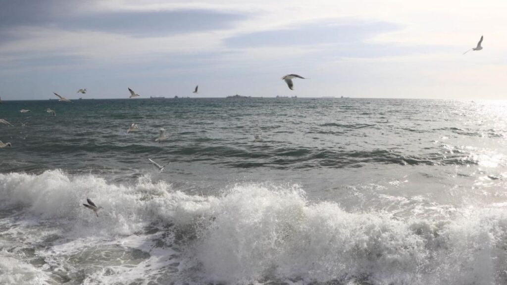 Marmara kıyılarında 1,6 milyon kişi iklim riski altında – Birlik Haber Ajansı