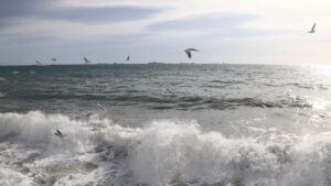 Marmara kıyılarında 1,6 milyon kişi iklim riski altında – Birlik Haber Ajansı