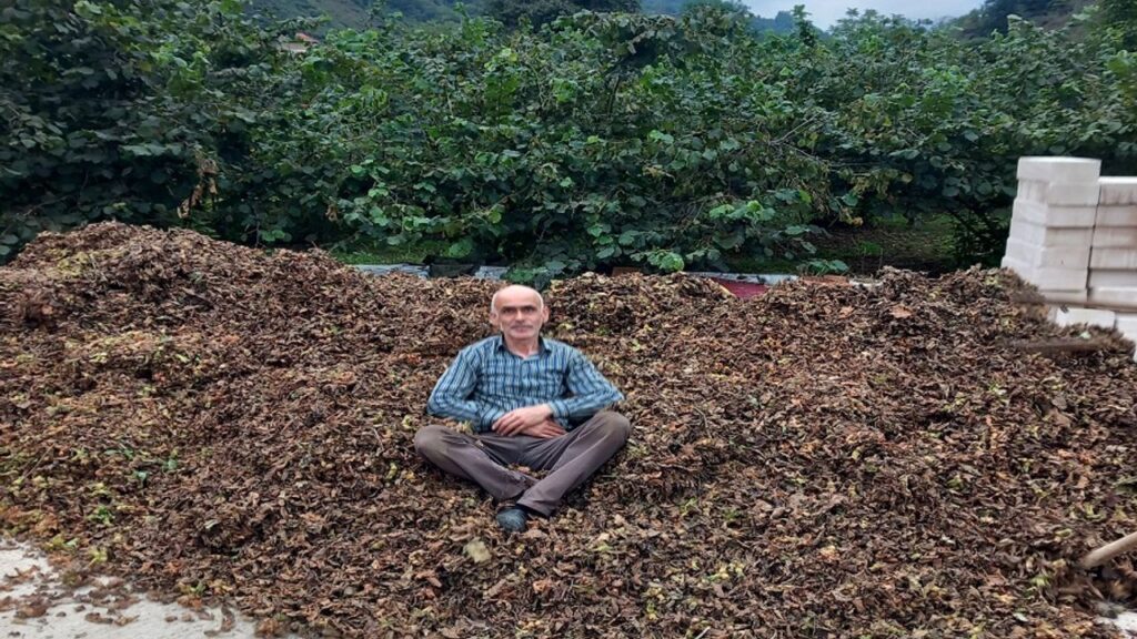 Fındık fiyatı düşürülmeye mi çalışılıyor? – Birlik Haber Ajansı