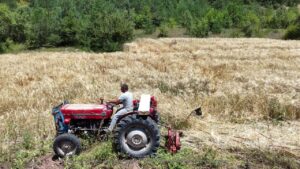 İstanbul’dan Ordu’ya uzanan çiftçilik öyküsü başarıya dönüştü – Birlik Haber Ajansı