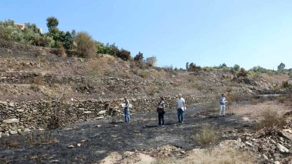 Alanya’daki yangınlar söndürüldü, hasar tespit çalışmaları başladı – Birlik Haber Ajansı