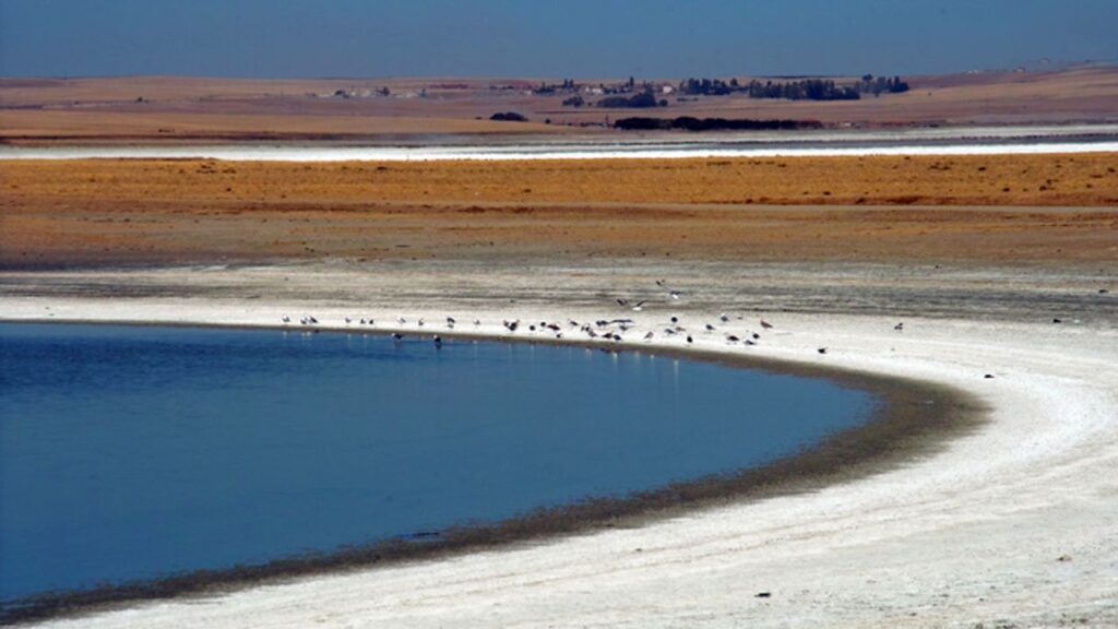 Tuz Gölü’nde kuraklık biyolojik çeşitliliği tehdit ediyor – Birlik Haber Ajansı
