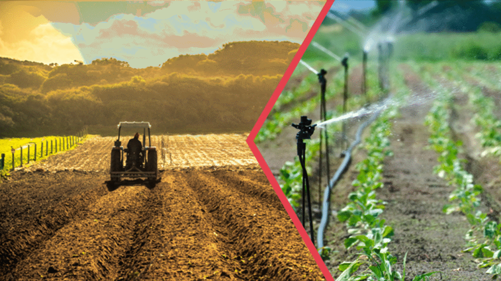 Tarımsal Desteklerle İlgili Tarım Bakanlığından Açıklama – Birlik Haber Ajansı