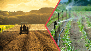 Tarımsal Desteklerle İlgili Tarım Bakanlığından Açıklama – Birlik Haber Ajansı