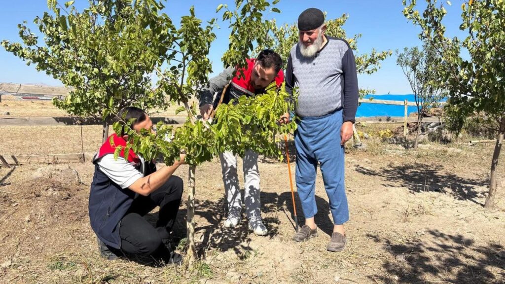 Bacalı Köyü’nde durgun T göz aşısı uygulaması ve takip çalışmaları yapıldı – Birlik Haber Ajansı
