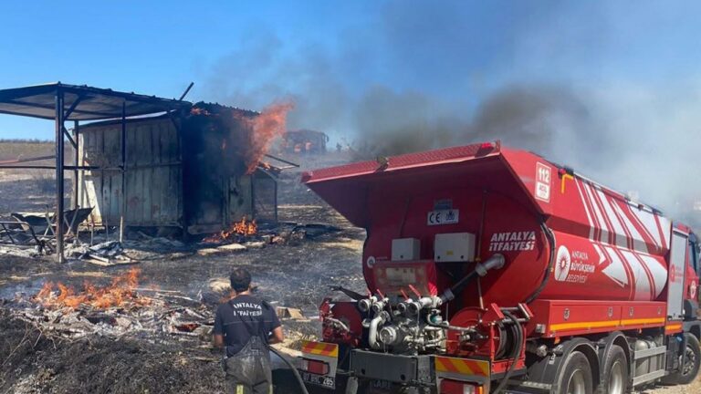 Kulübede yangın çıktı! 25 güvercin yanarak can verdi – Birlik Haber Ajansı