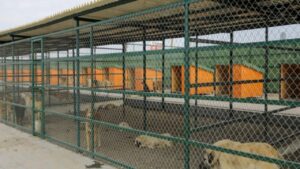 En modern hayvan barınağı Isparta’da – Birlik Haber Ajansı