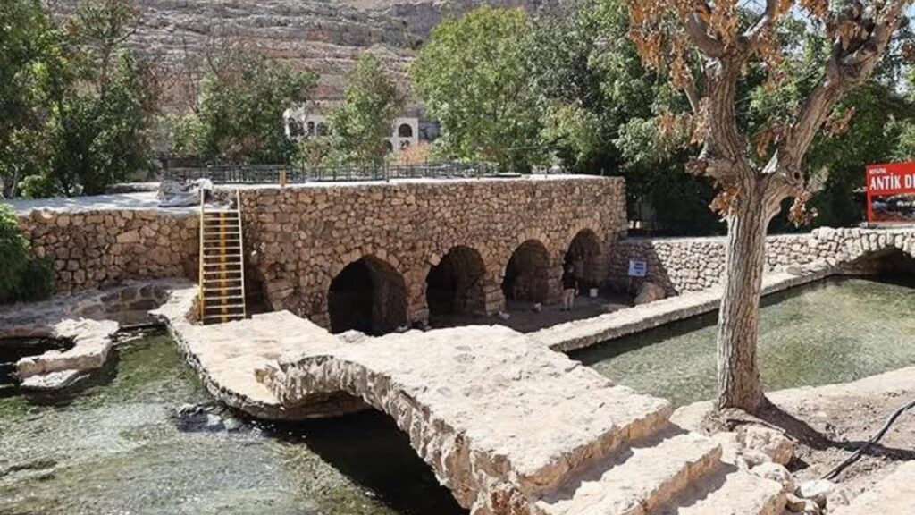 Mardin’de 1500 yıllık mozaik gün yüzüne çıktı – Birlik Haber Ajansı