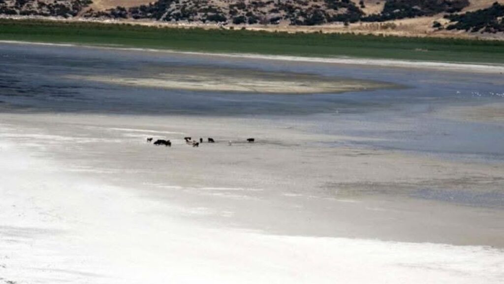 Isparta Eğirdir gölü doğanın insafına kaldı – Birlik Haber Ajansı