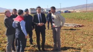 Burdur Tefenni ovası’nda pancar hasadı bereketi – Birlik Haber Ajansı