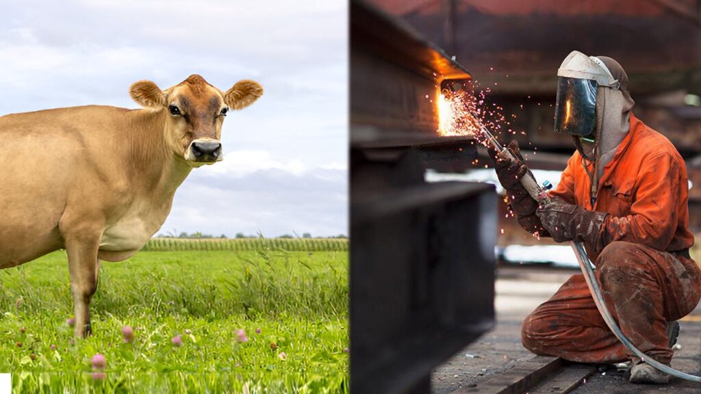 MKE genişliyor, Kırıkkale’de alan ihtiyacı artıyor – Birlik Haber Ajansı