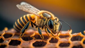 Yapay Arı Kolonisi (ABC) Algoritması 20 yaşında – Birlik Haber Ajansı