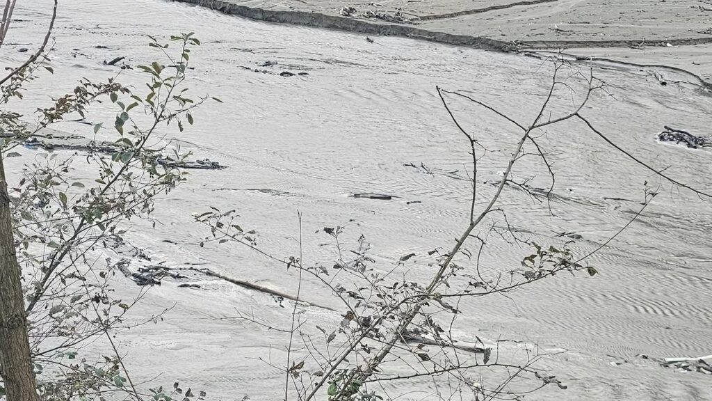 Harşit Çayı’nda tehlike çanları çalıyor – Birlik Haber Ajansı