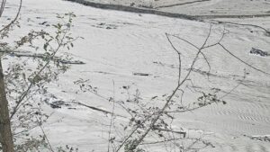 Harşit Çayı’nda tehlike çanları çalıyor – Birlik Haber Ajansı