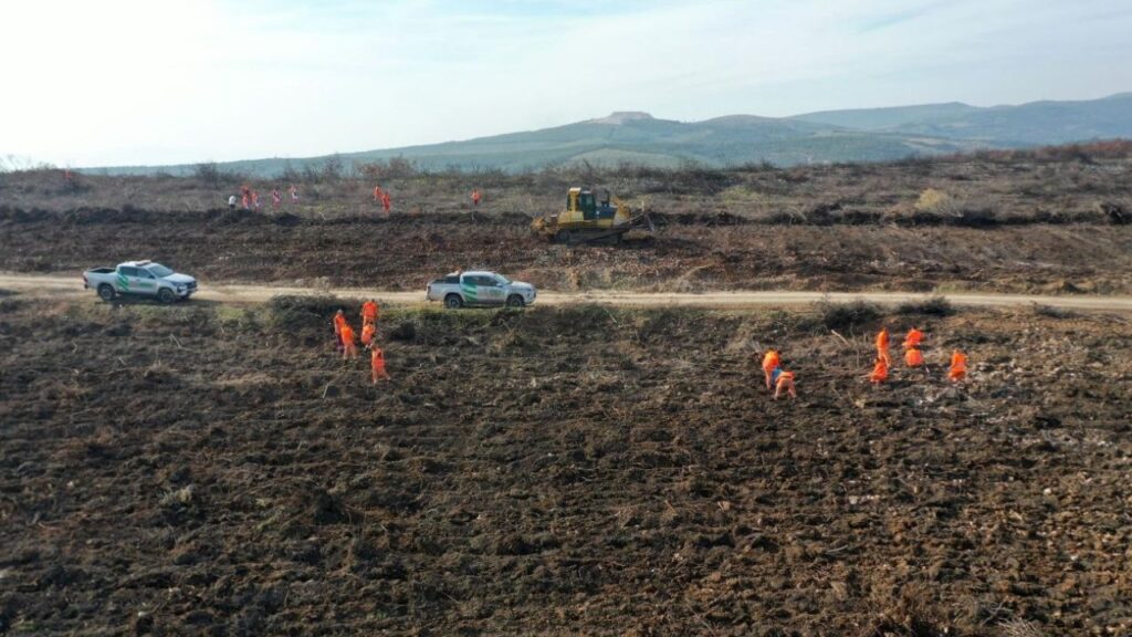 “Alev savaşçıları” bu kez yangın alanları yeniden yeşillendiriliyor – Birlik Haber Ajansı
