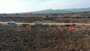 “Alev savaşçıları” bu kez yangın alanları yeniden yeşillendiriliyor – Birlik Haber Ajansı