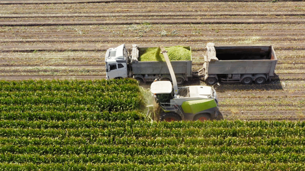 306 milyon liralık tarımsal destekleme ödemesi gerçekleşt – Birlik Haber Ajansı