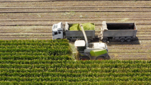 306 milyon liralık tarımsal destekleme ödemesi gerçekleşt – Birlik Haber Ajansı