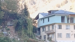 Köyde arı kovanlığı çöktü: 2 kişi hayatını kaybetti – Birlik Haber Ajansı