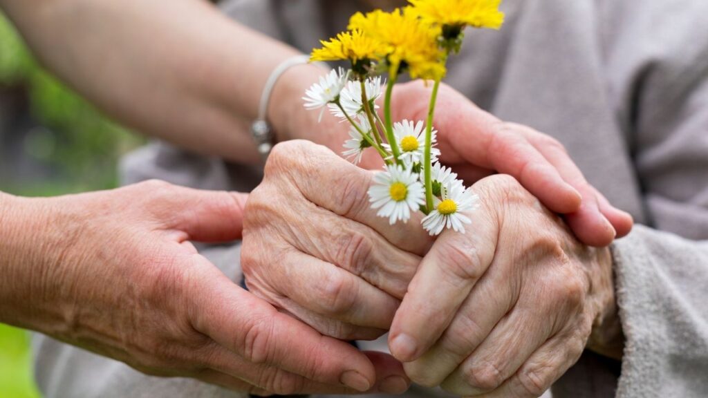 Engelli ve yaşlılara kasım ayında 7,11 milyar liralık destek – Birlik Haber Ajansı