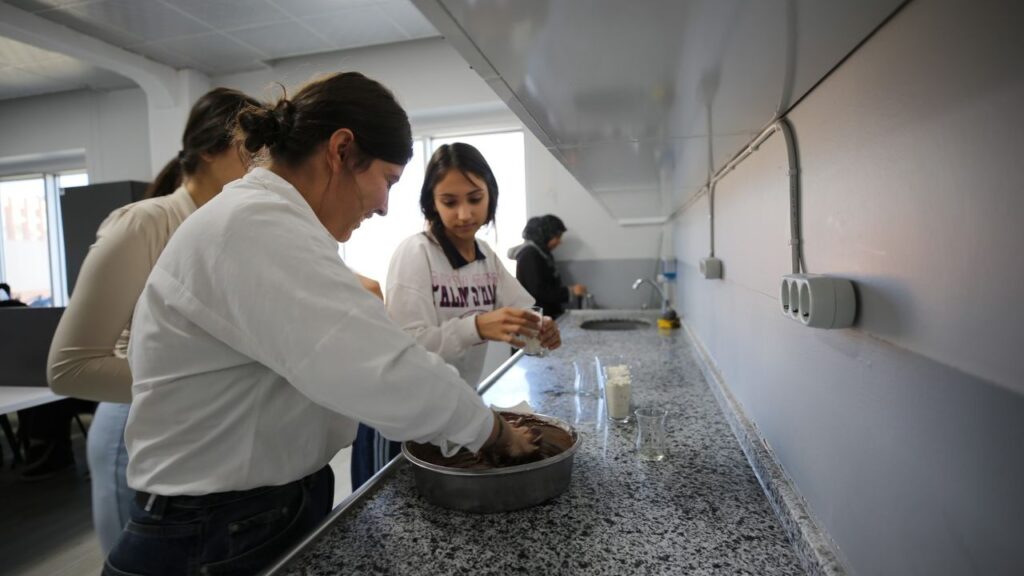 Eyyübiyeli kadınlar bu proje ile güçleniyor – Birlik Haber Ajansı