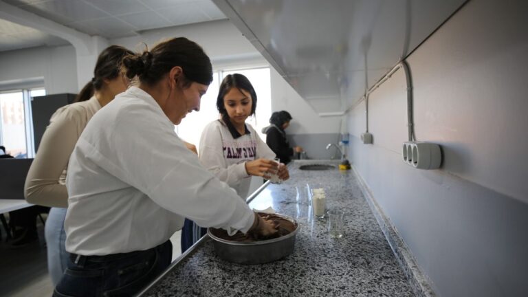 Eyyübiyeli kadınlar bu proje ile güçleniyor – Birlik Haber Ajansı