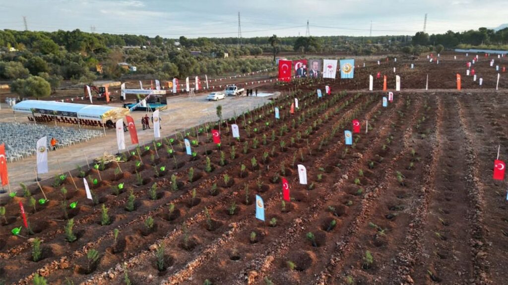11 Kasım “Milli Ağaçlandırma Günü” için hazırlıklar tamamlandı – Birlik Haber Ajansı