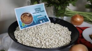 Antalya’da coğrafi işaret seferberliği Kumluca’ya taşındı – Birlik Haber Ajansı