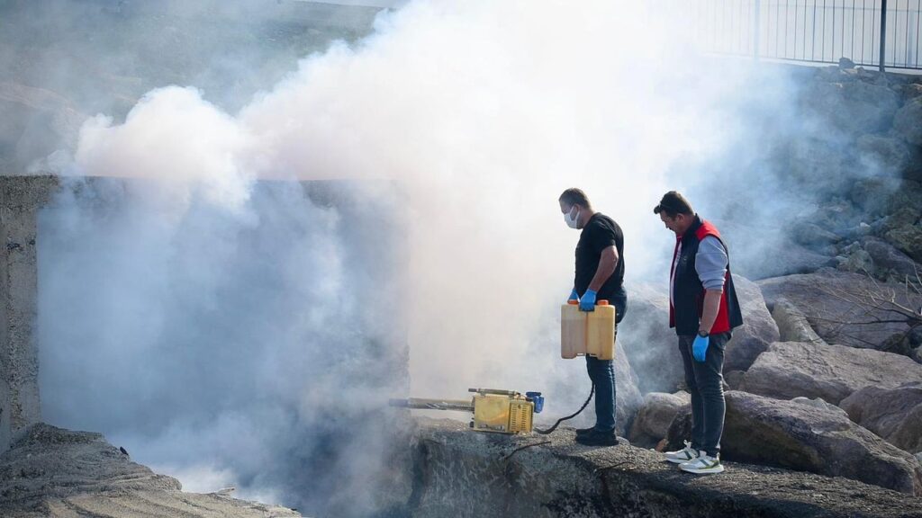 Giresun Belediyesi sahil bölgesi menfezlerini ilaçladı – Birlik Haber Ajansı