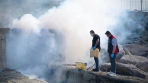 Giresun Belediyesi sahil bölgesi menfezlerini ilaçladı – Birlik Haber Ajansı