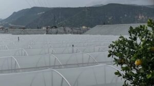 Antalya Demre’de hortum seraları vurdu – Birlik Haber Ajansı