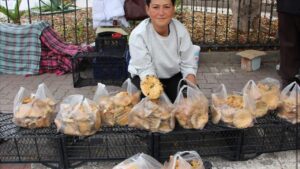 Kumluca’da sonbaharın bereketi: Kanlıca mantarları ekonomiye can veriyor – Birlik Haber Ajansı