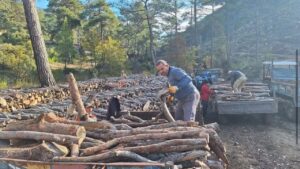 Sarıbelen’de yakacak odun dağıtımı tamamlandı – Birlik Haber Ajansı
