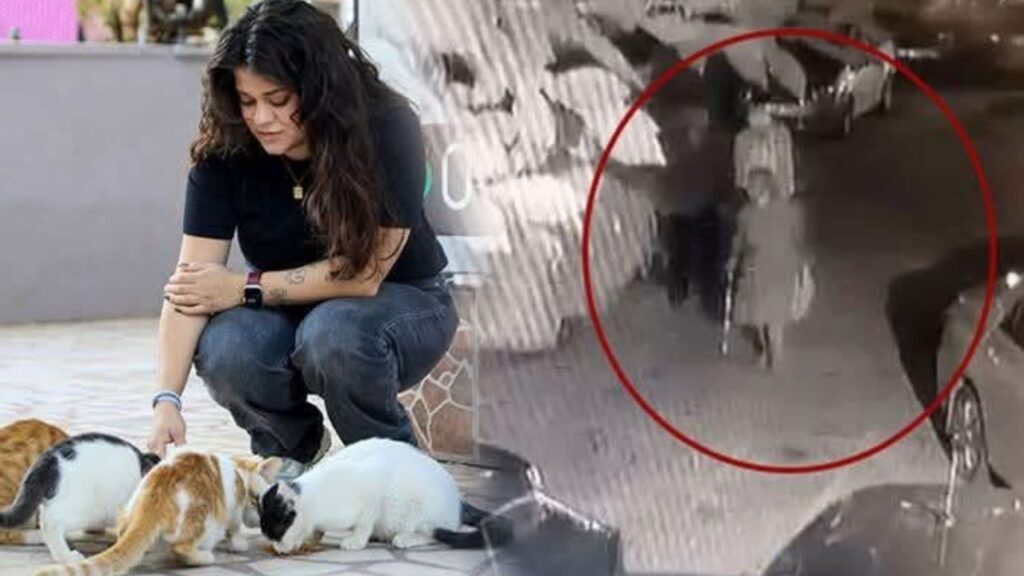 Antalya’da kediye bastonla saldırı iddiası – Birlik Haber Ajansı