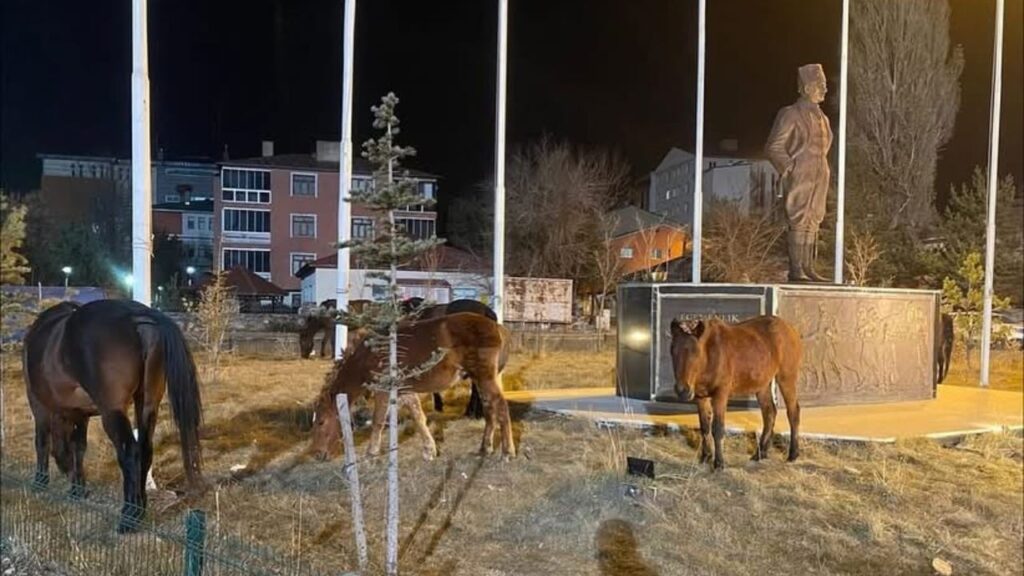 Ardahan’da yılkı atları şehre indi – Birlik Haber Ajansı