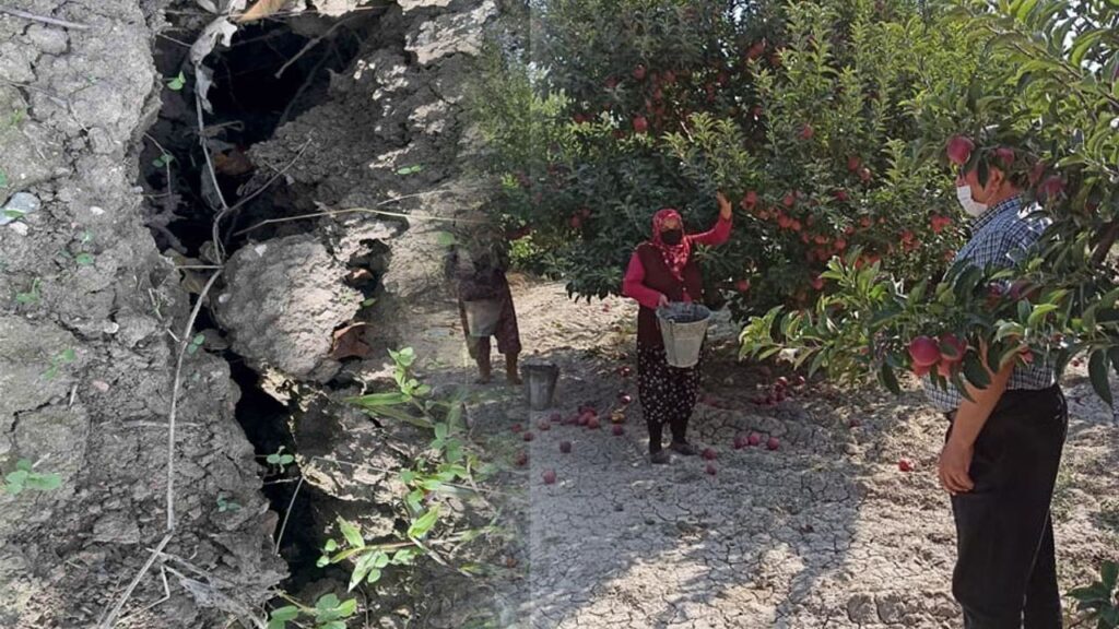 Eğirdir’de elma bahçesinde obruk oluştu – Birlik Haber Ajansı