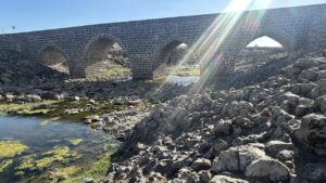 Diyarbakır’ın tarihi Dilaver köprüsü zamana direniyor – Birlik Haber Ajansı