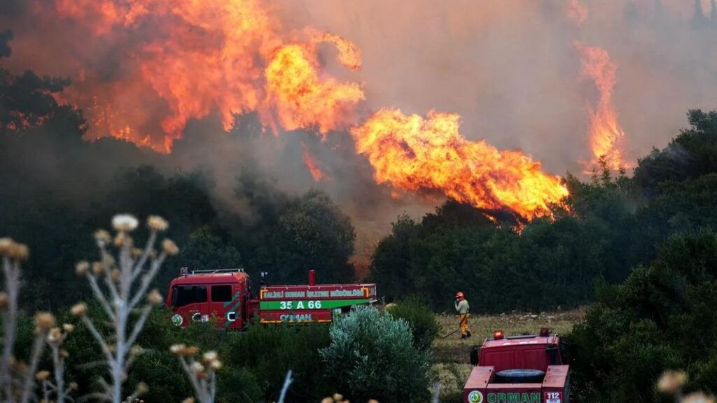 Minibüsten ormana sıçrayan yangın davası: 4 sanığa 7 yıla kadar hapis istemi – Birlik Haber Ajansı
